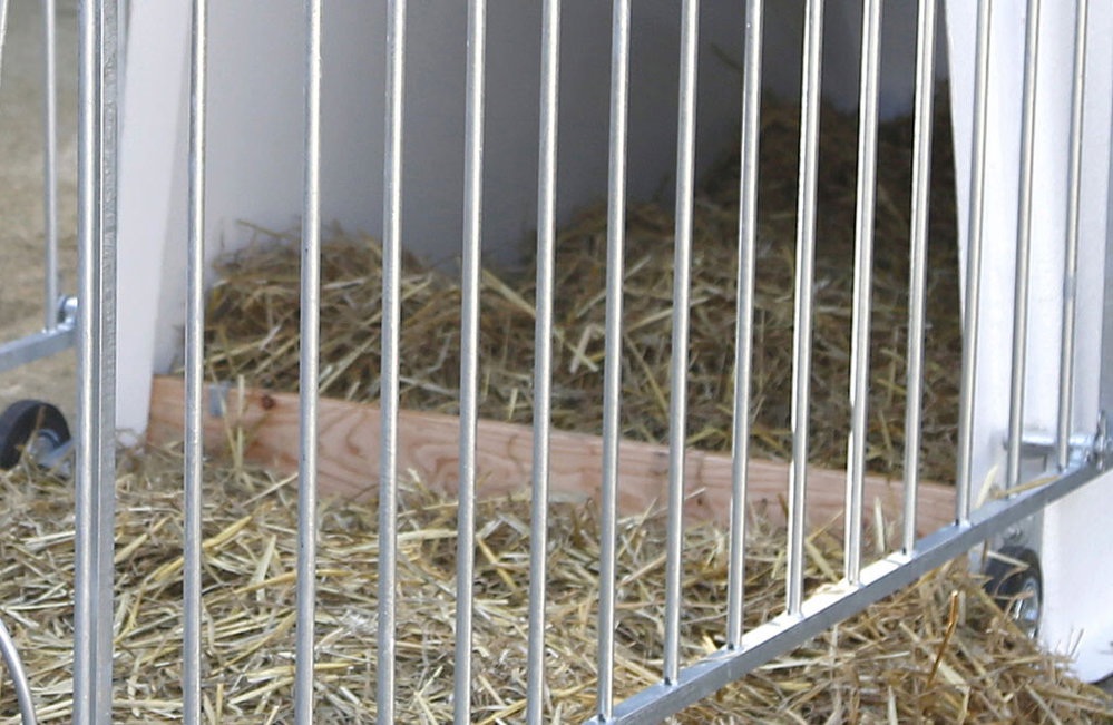 Kälberiglu CalfHouse Master Plus mit leichter Umzäunung