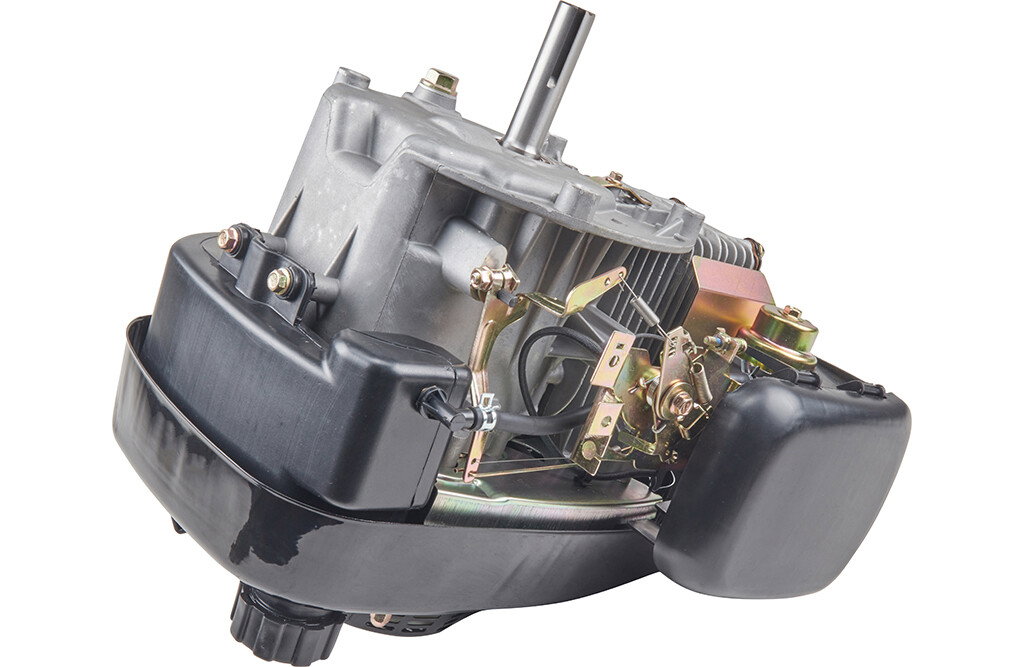 Motor, 5,5 PS - vertikale Welle