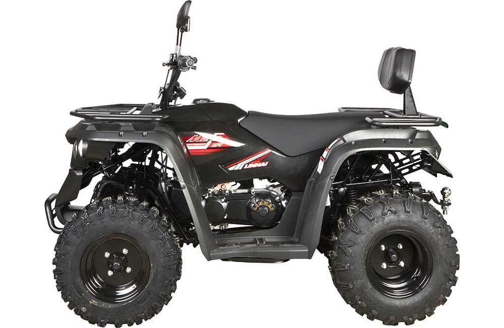 Linhai ATV M210 EFI 2x4, T3b Straßenzulassung