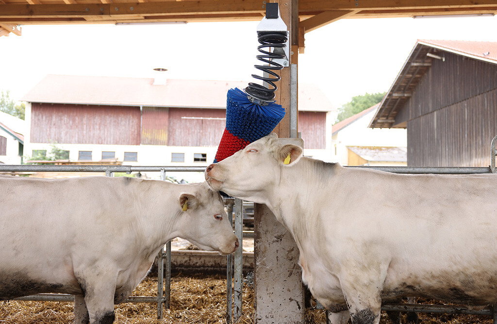 Kratzbürste HAPPYCOW FlexiSwing, Kuhbürste