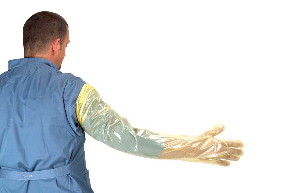 Untersuchungshandschuhe, Größe L 